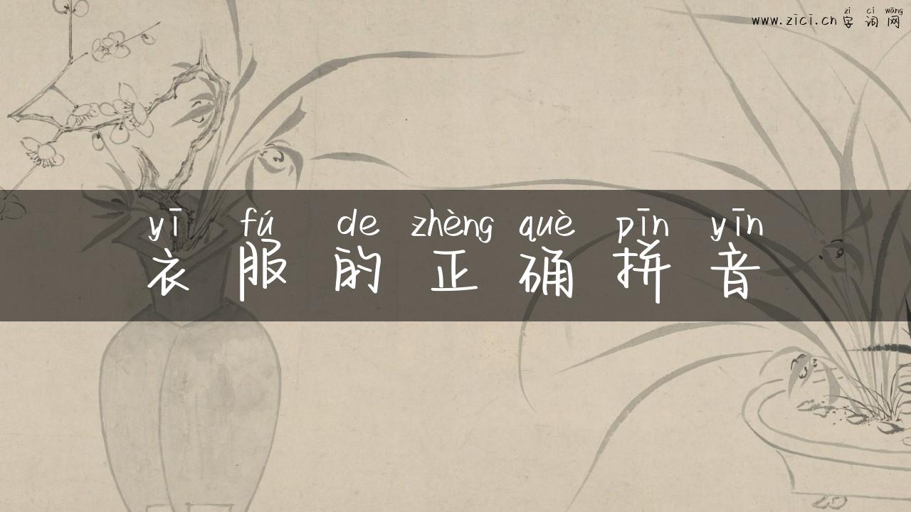 衣服的正确拼音