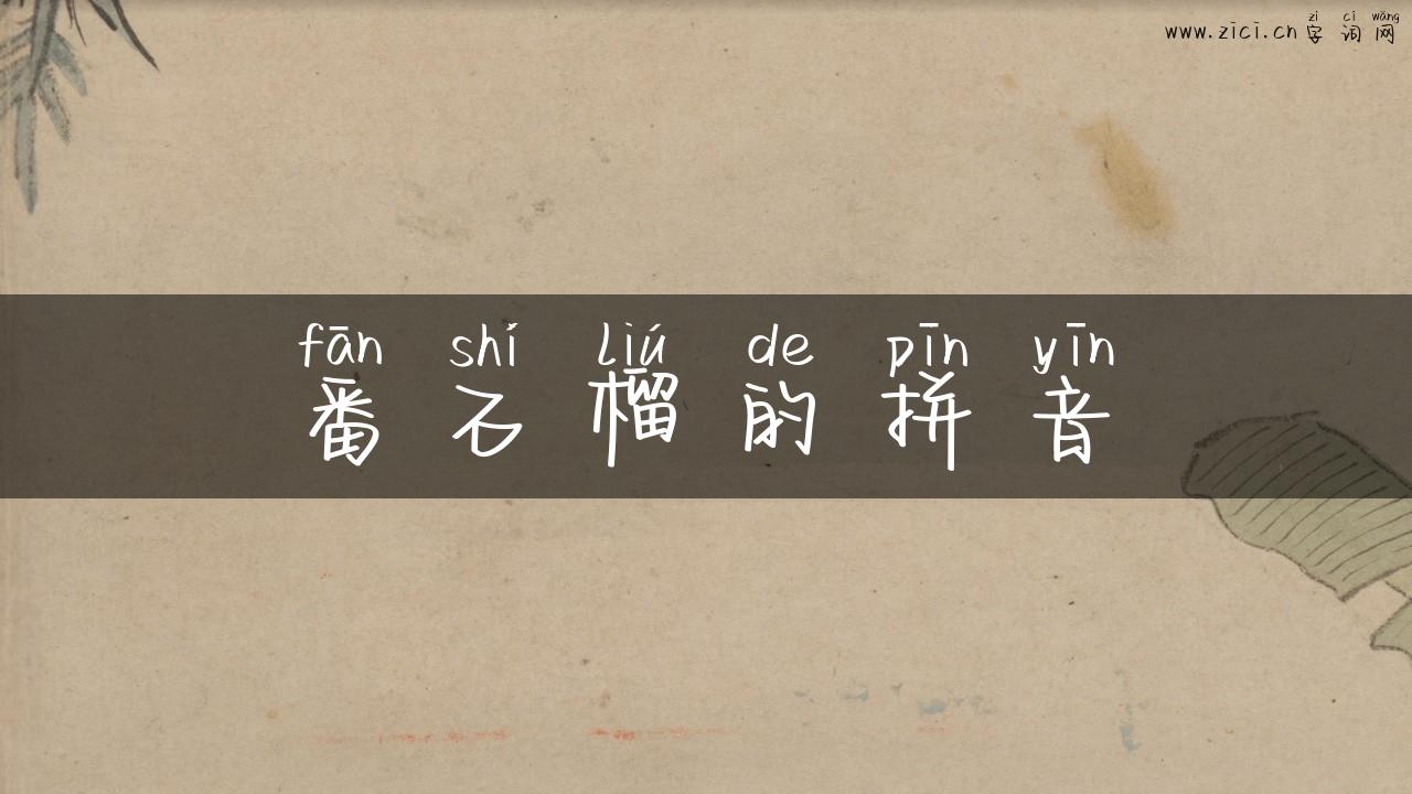 番石榴的拼音