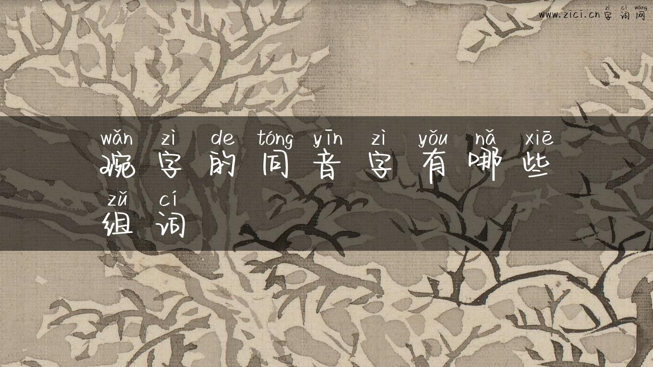 琬字的同音字有哪些组词