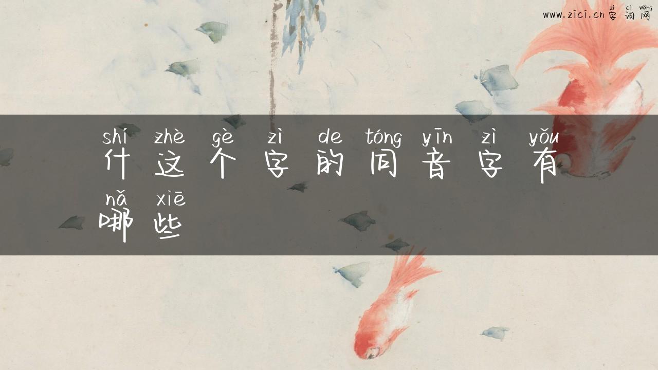什这个字的同音字有哪些