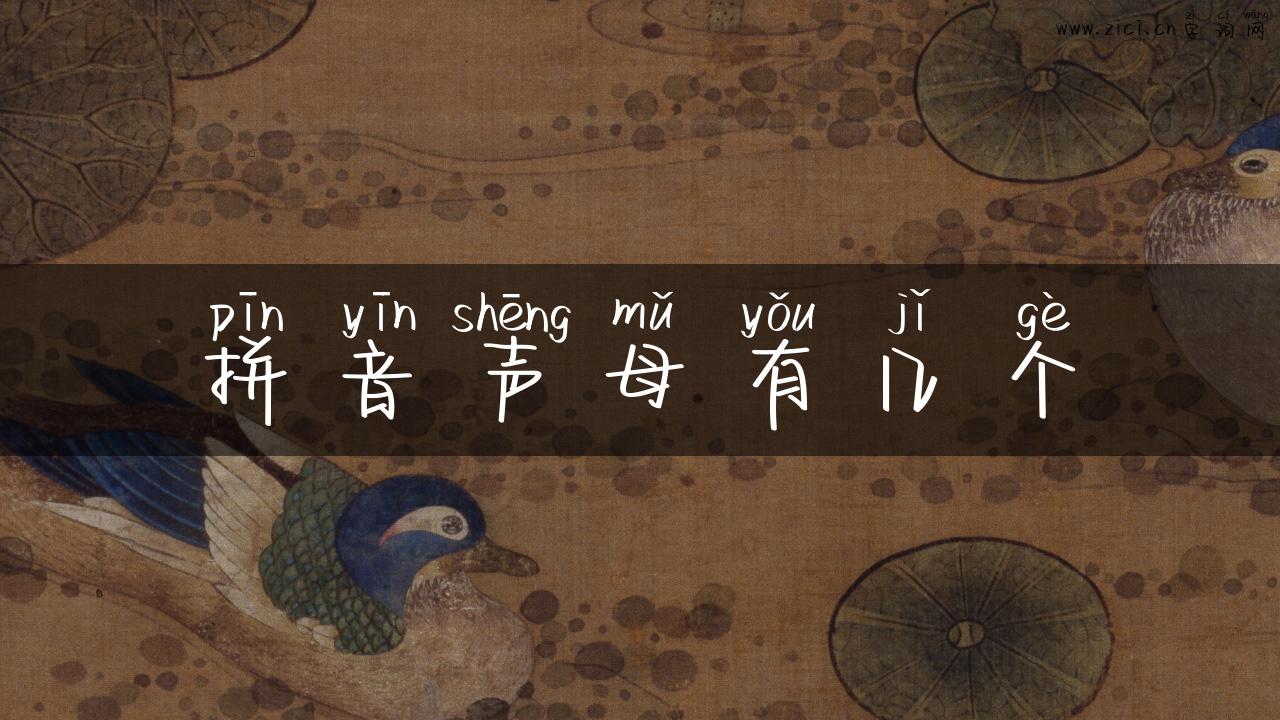 拼音声母有几个