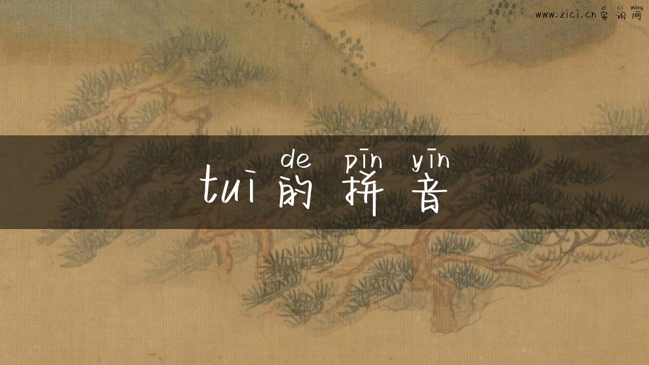 tui的拼音
