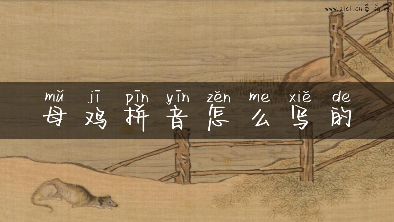 母鸡拼音怎么写的