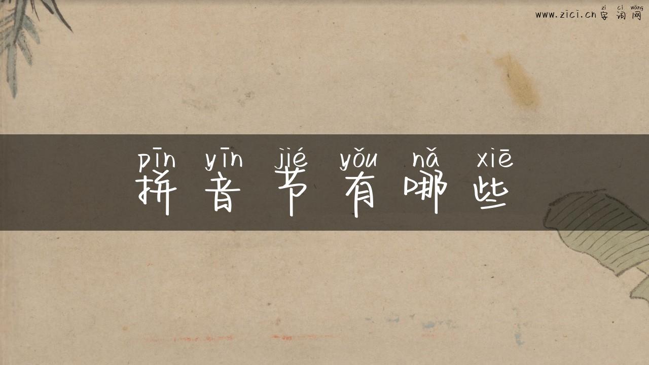 拼音节有哪些