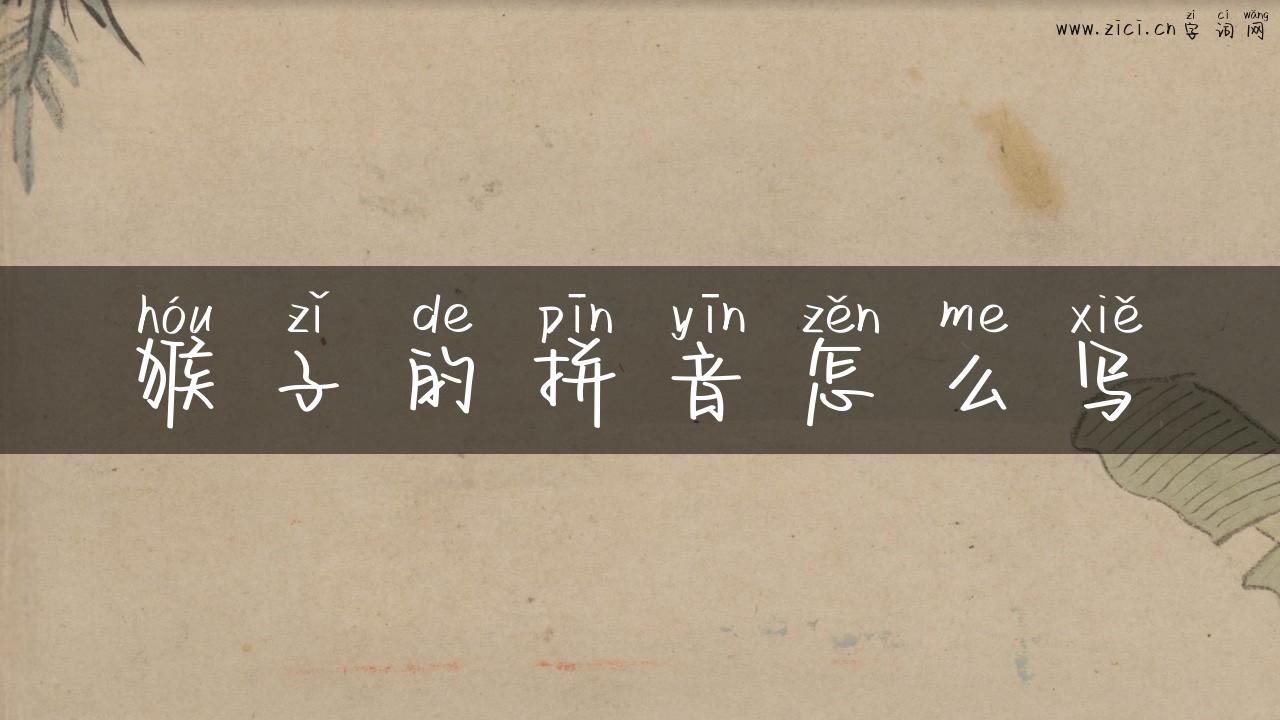 猴子的拼音怎么写