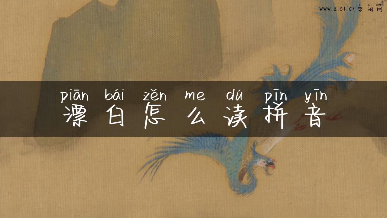 漂白怎么读拼音