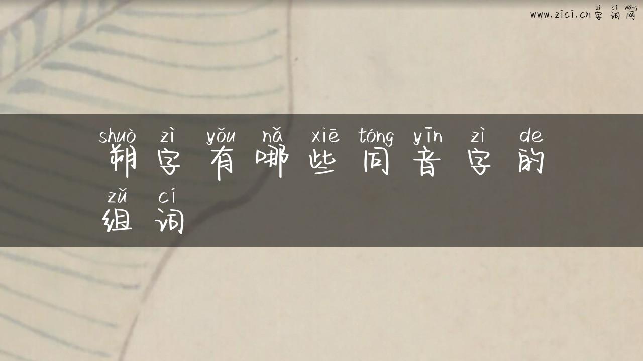 朔字有哪些同音字的组词