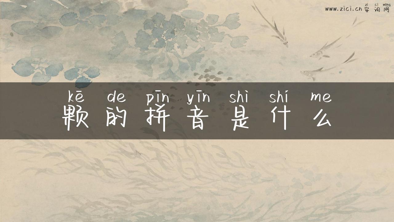 颗的拼音是什么