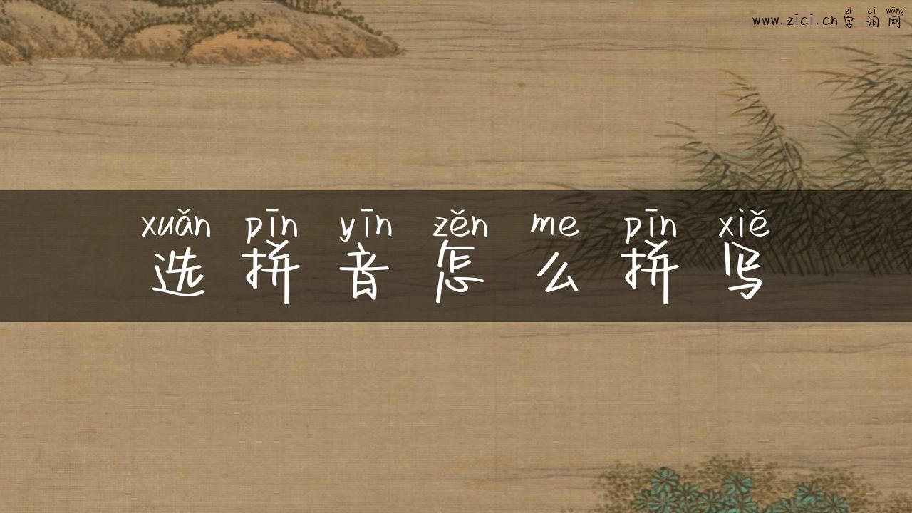 选拼音怎么拼写