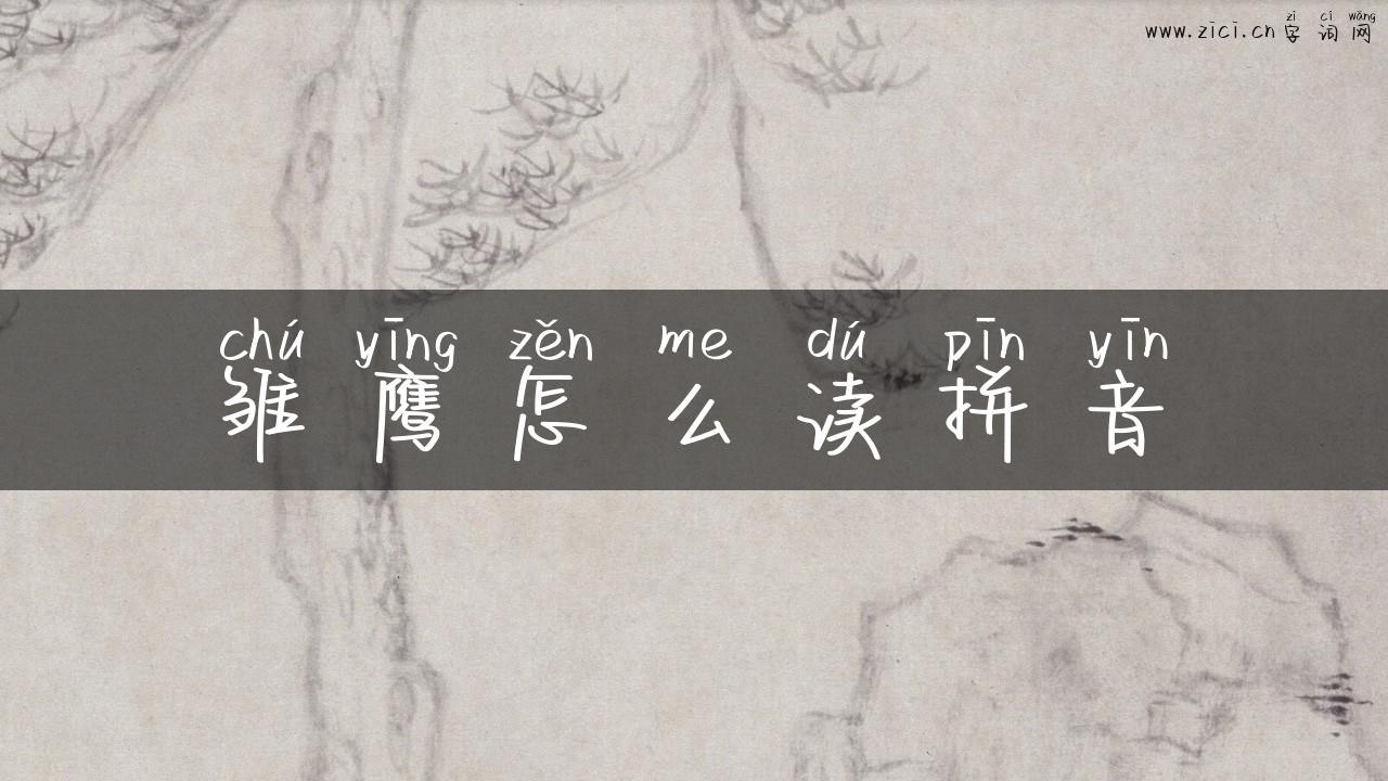 雏鹰怎么读拼音