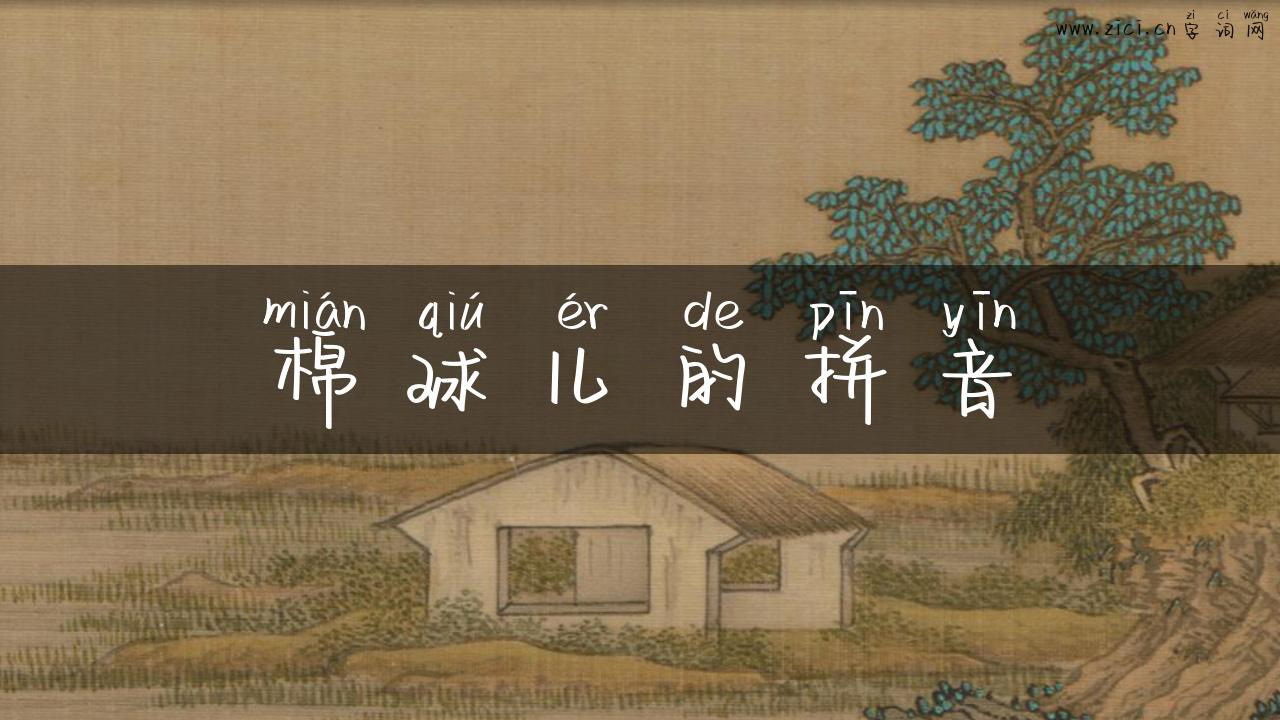 棉球儿的拼音