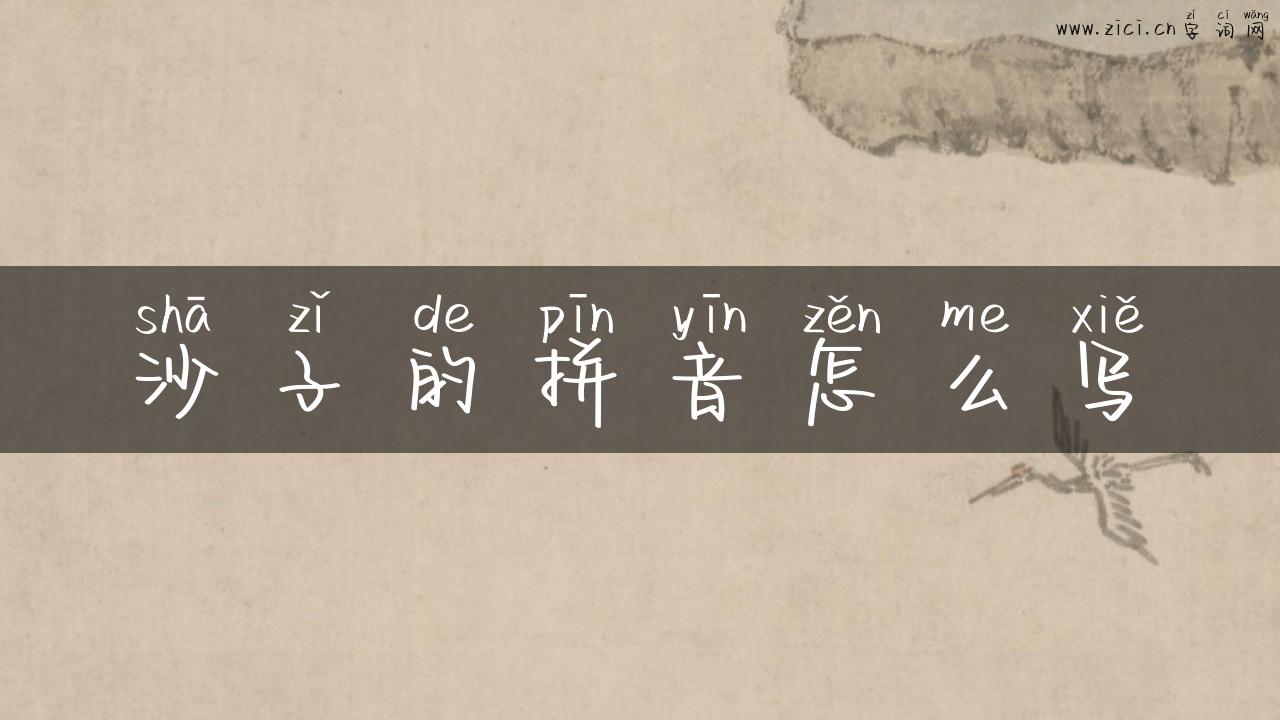 沙子的拼音怎么写