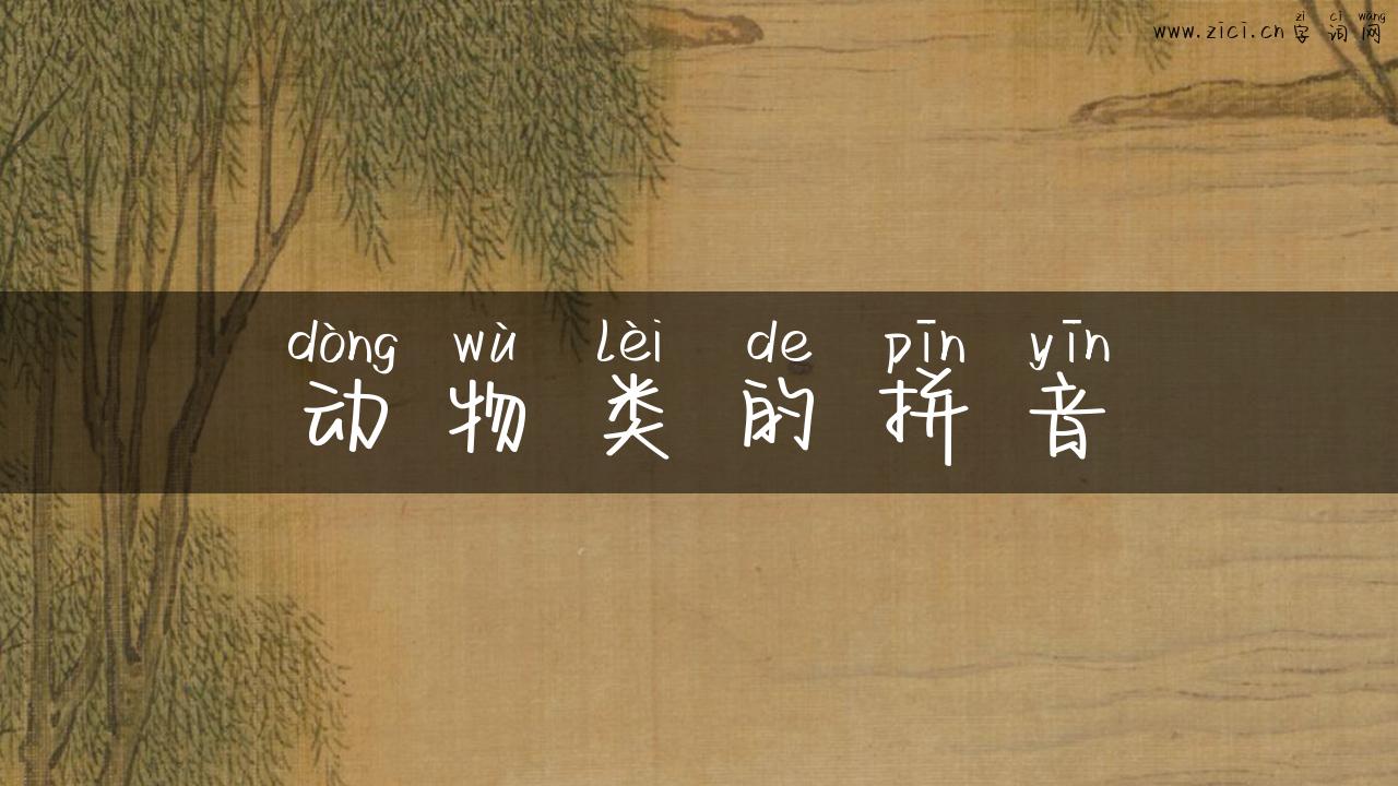 动物类的拼音