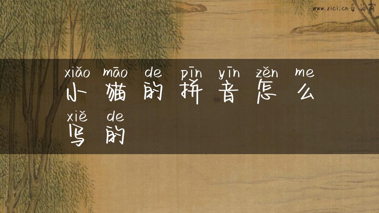 小猫的拼音怎么写的