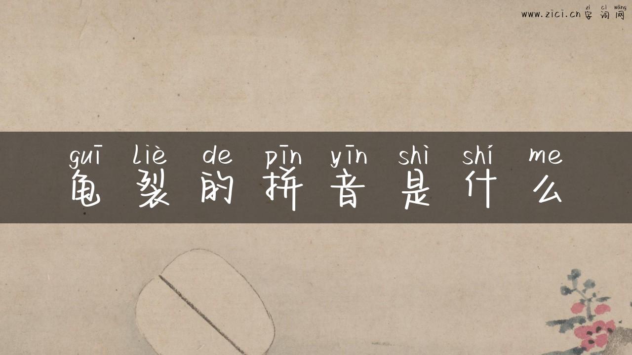 龟裂的拼音是什么