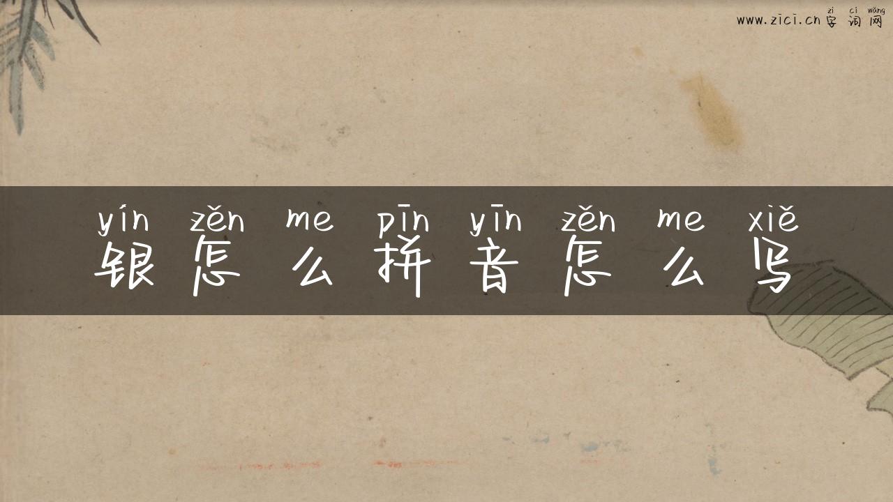 银怎么拼音怎么写