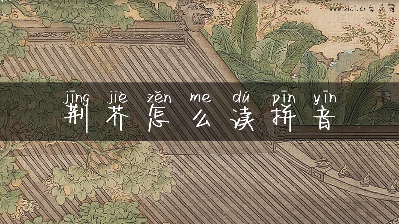 荆芥怎么读拼音