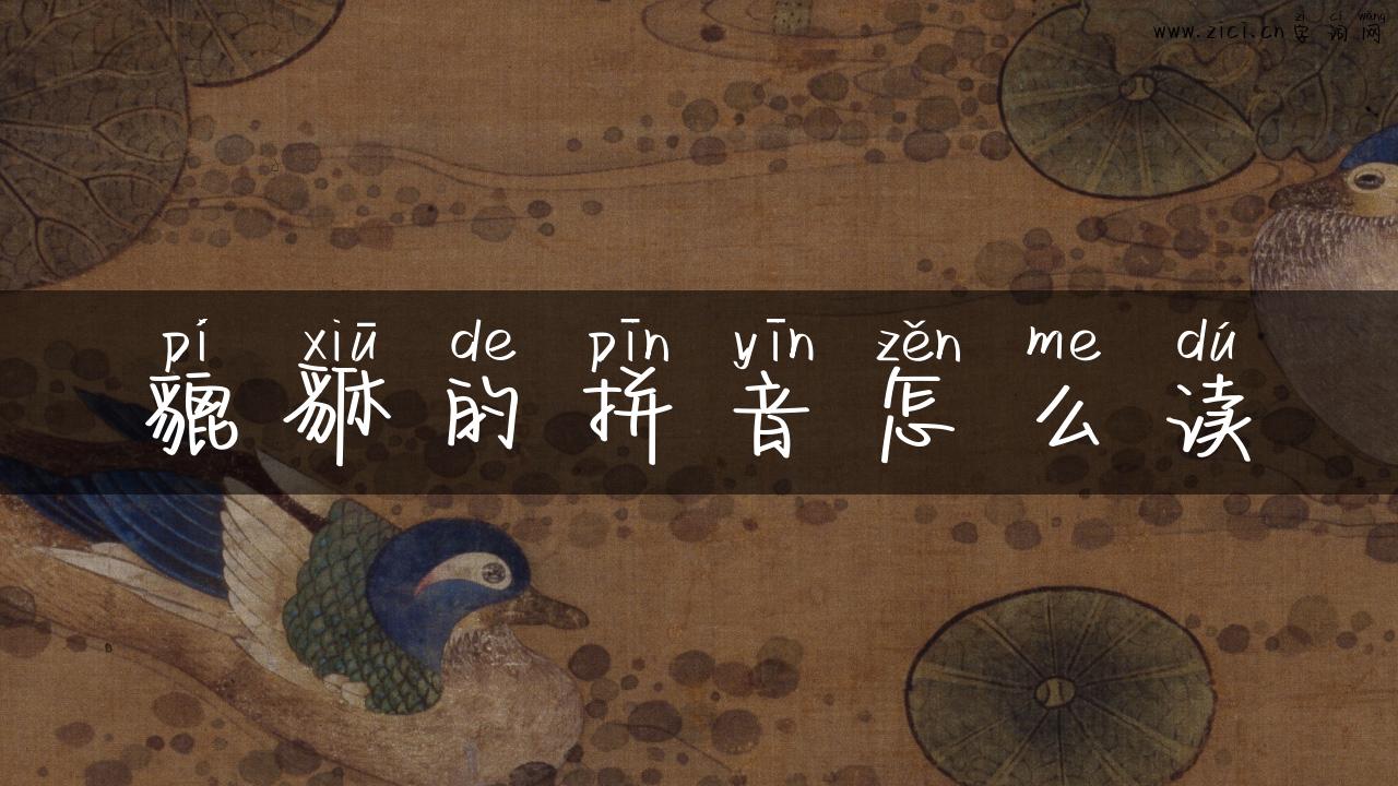 貔貅的拼音怎么读