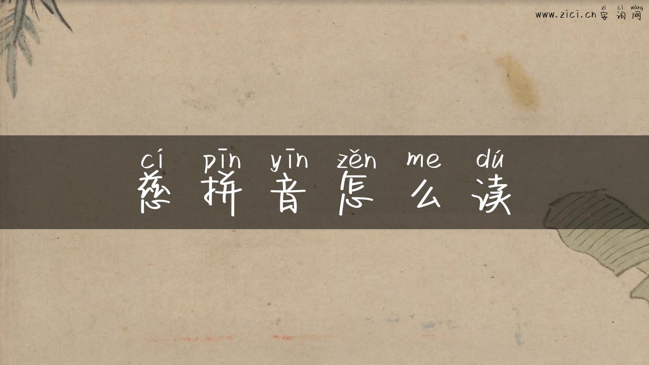 慈拼音怎么读