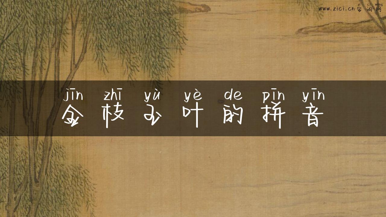 金枝玉叶的拼音