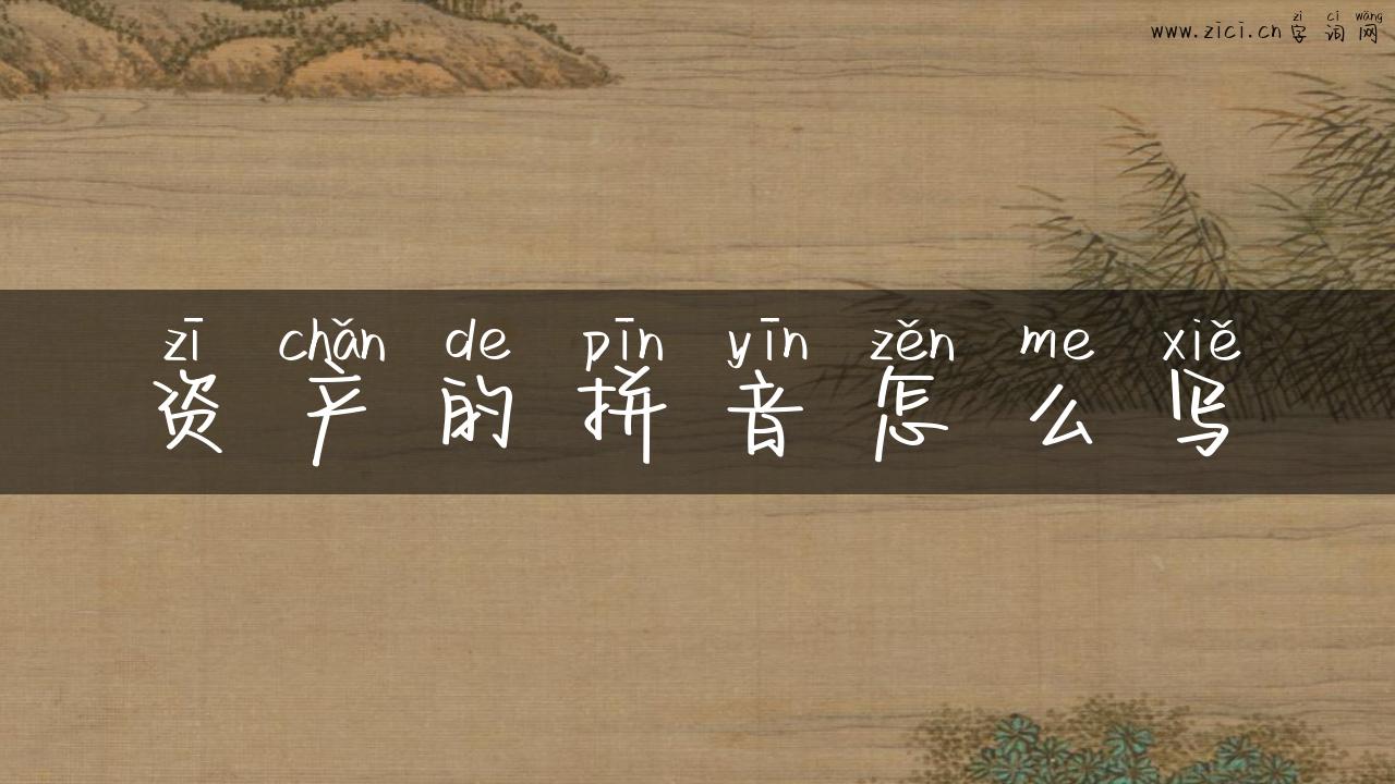 资产的拼音怎么写