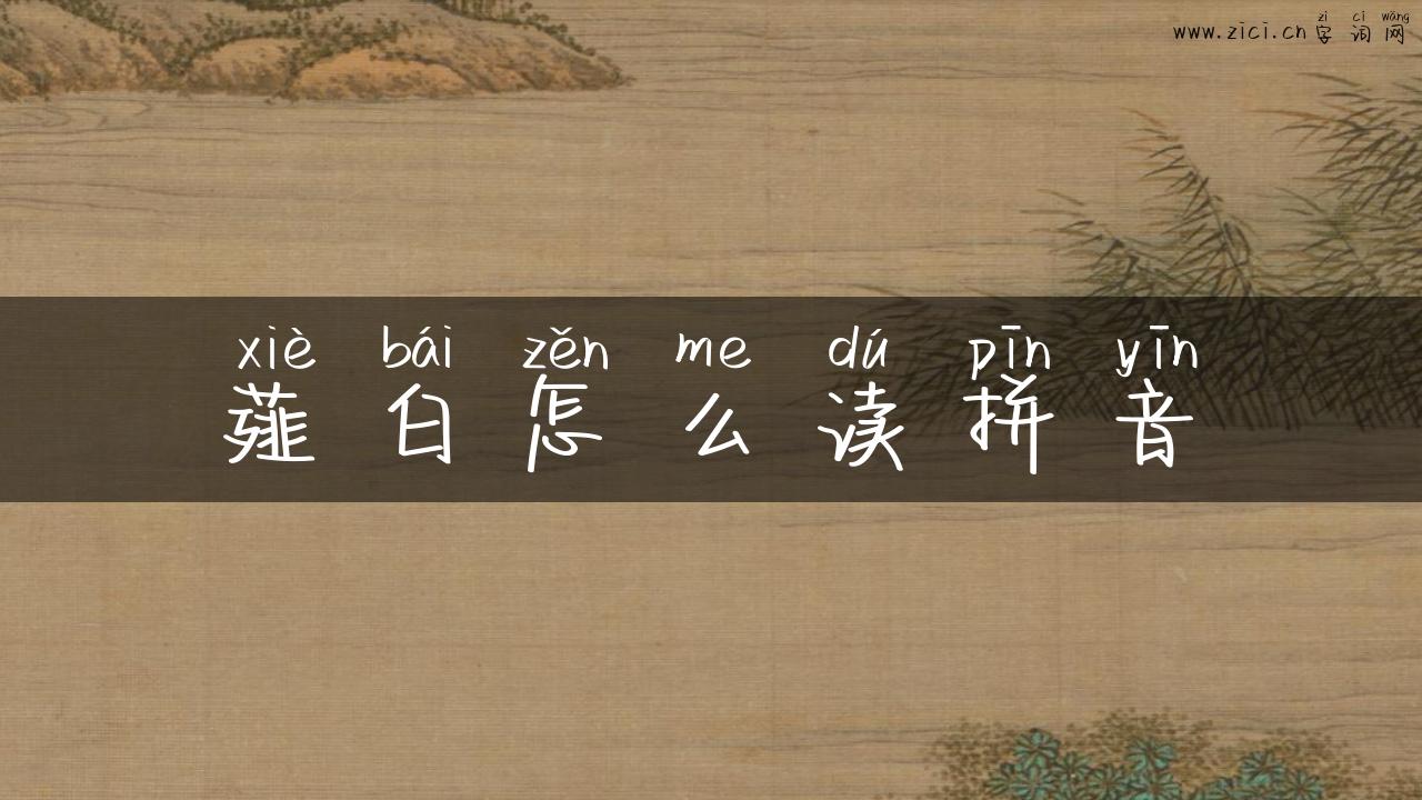 薤白怎么读拼音