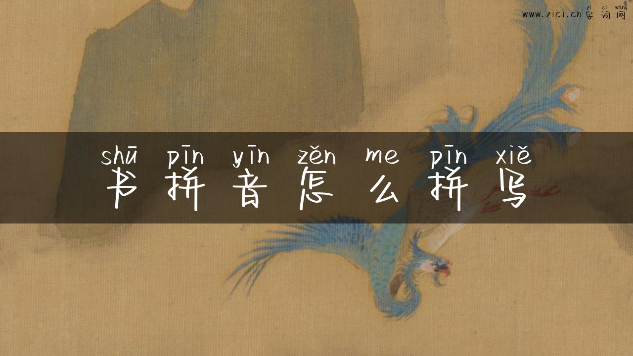 书拼音怎么拼写