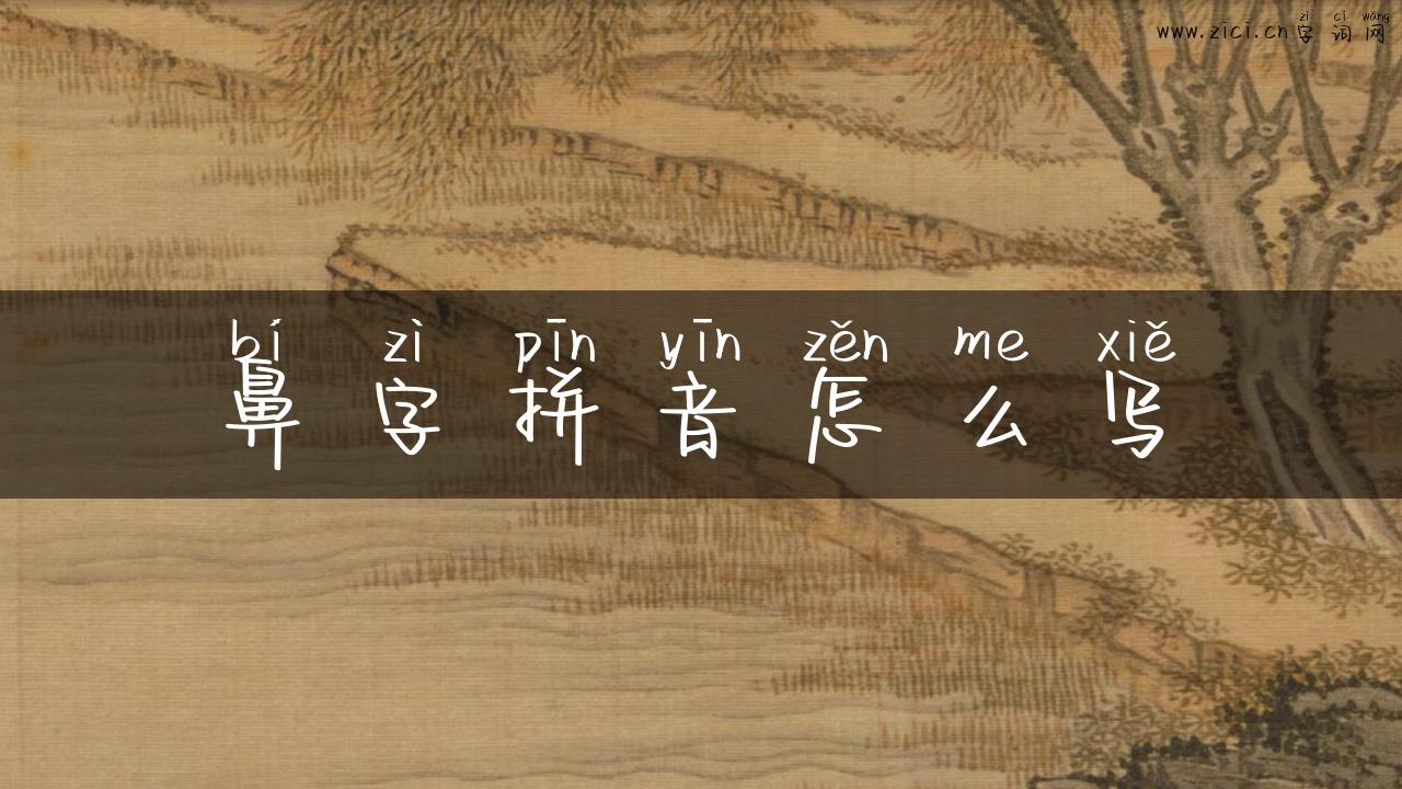 鼻字拼音怎么写