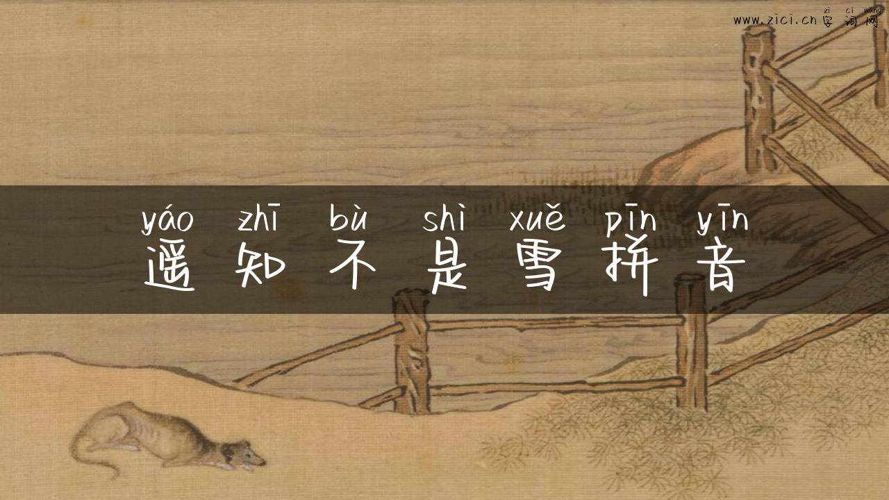 遥知不是雪拼音