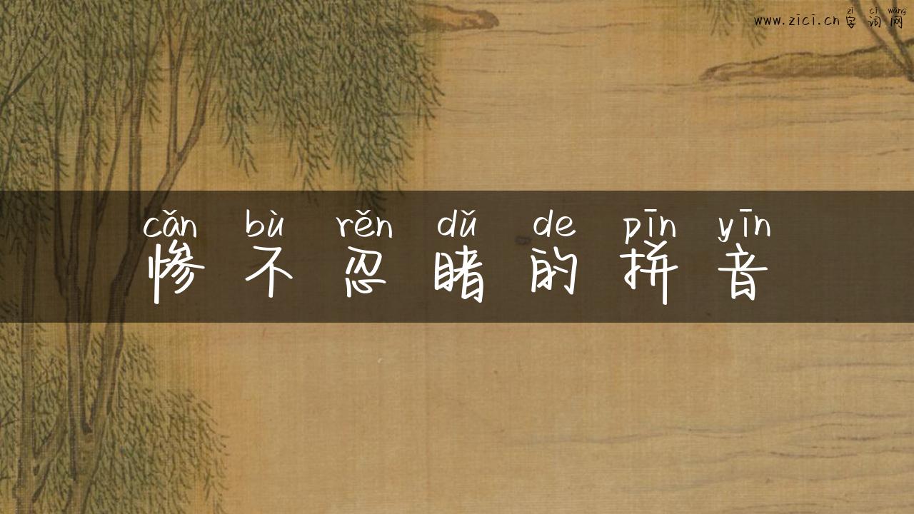 惨不忍睹的拼音