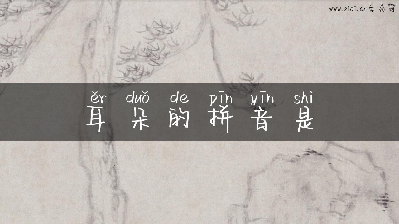 耳朵的拼音是