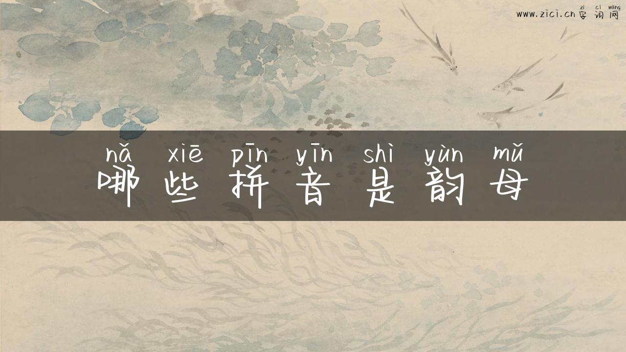 哪些拼音是韵母