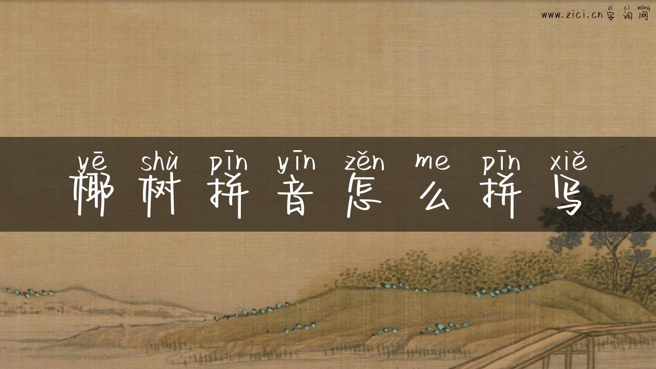 椰树拼音怎么拼写