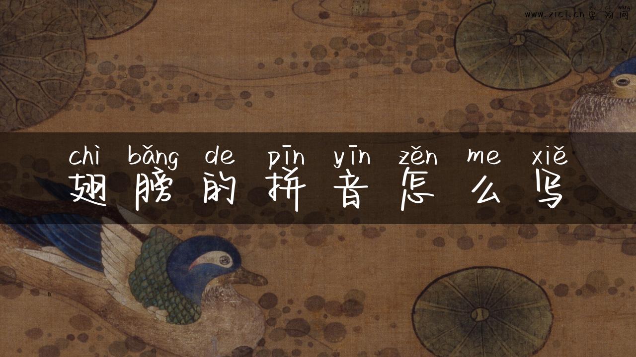 翅膀的拼音怎么写