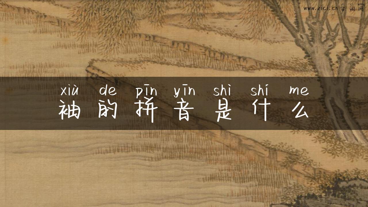 袖的拼音是什么