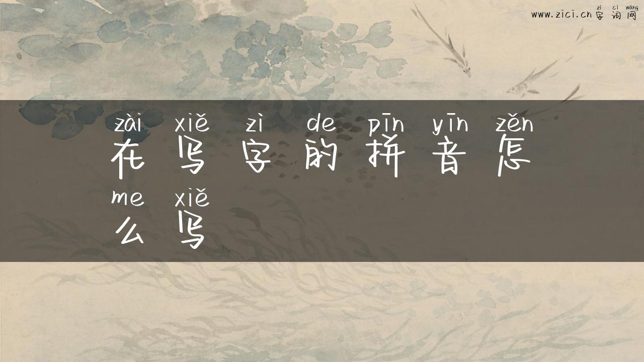 在写字的拼音怎么写