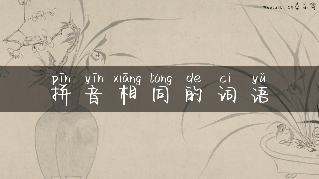 拼音相同的词语