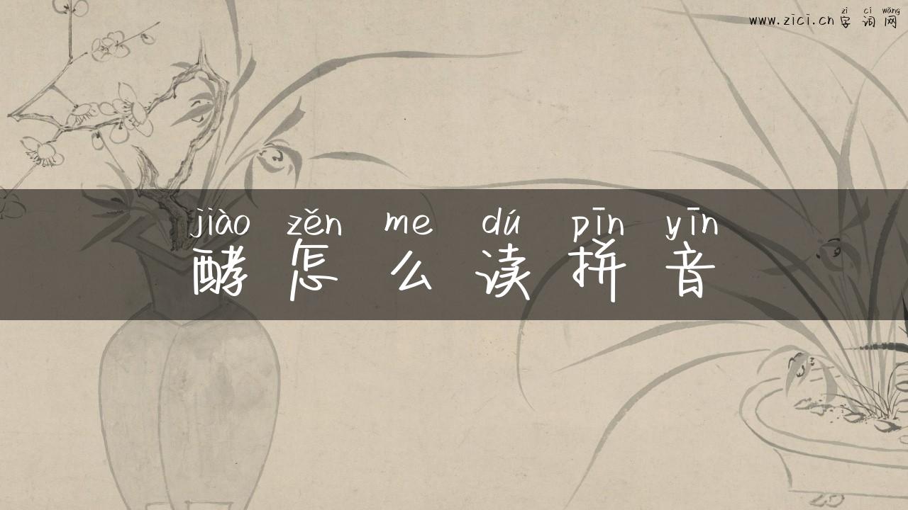 酵怎么读拼音