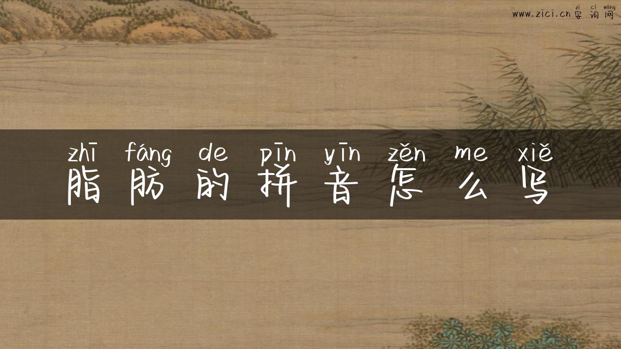 脂肪的拼音怎么写