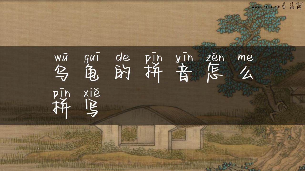 乌龟的拼音怎么拼写