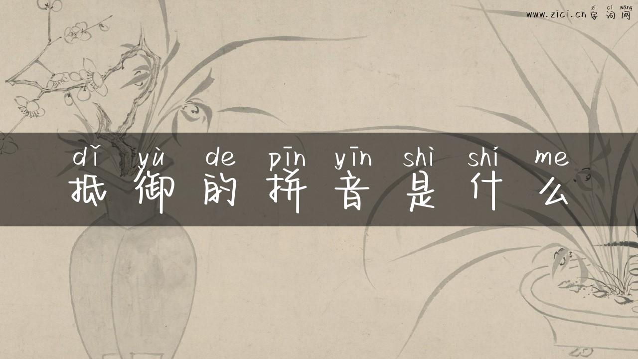 抵御的拼音是什么