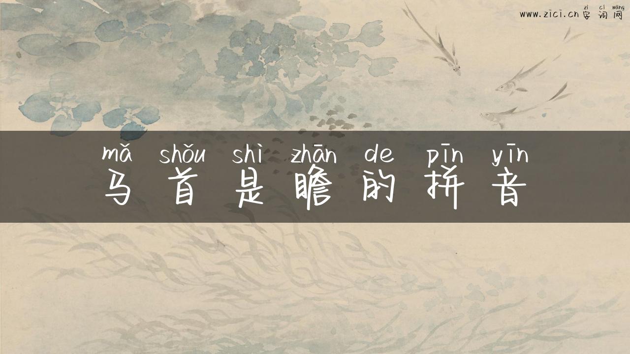 马首是瞻的拼音
