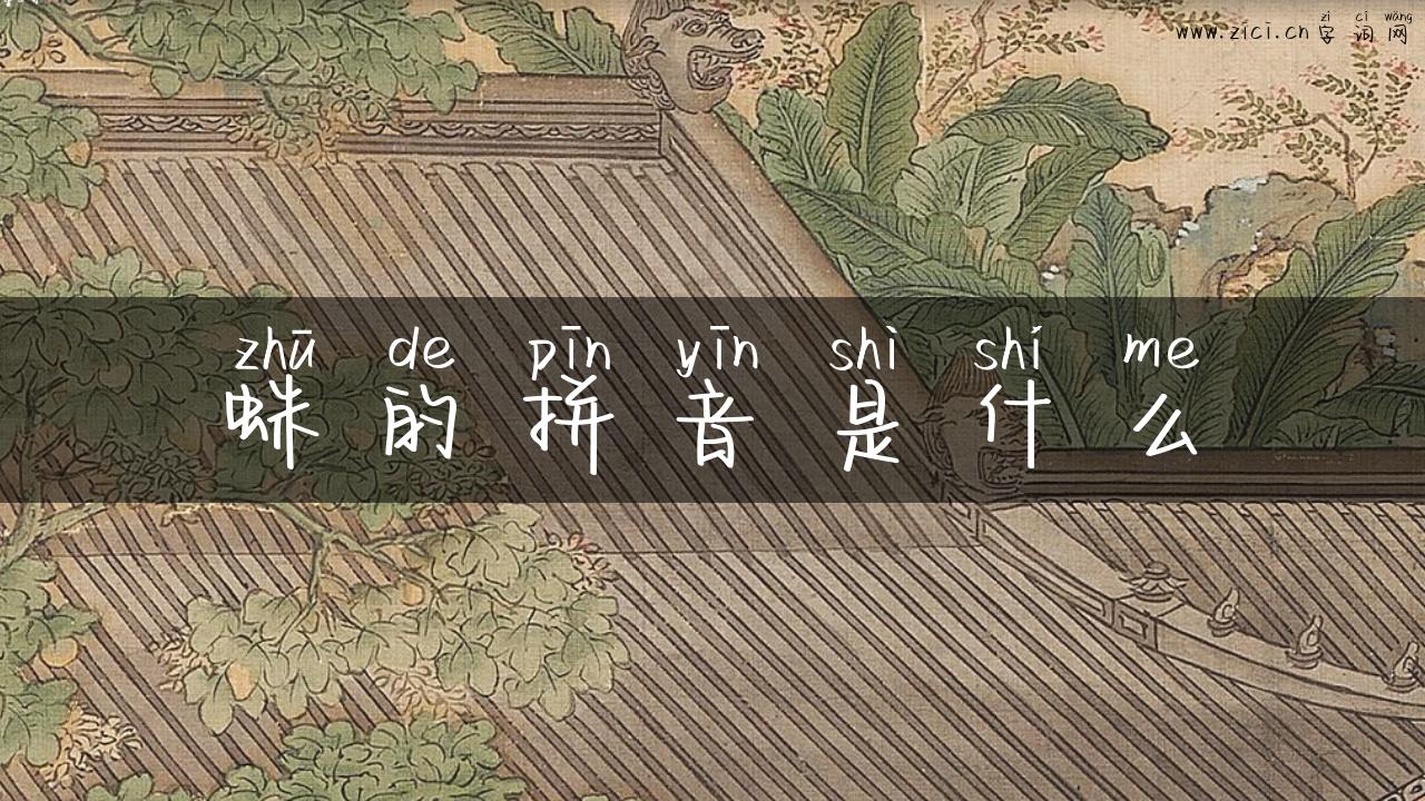 蛛的拼音是什么
