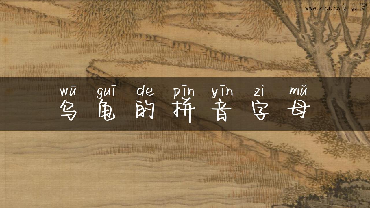 乌龟的拼音字母