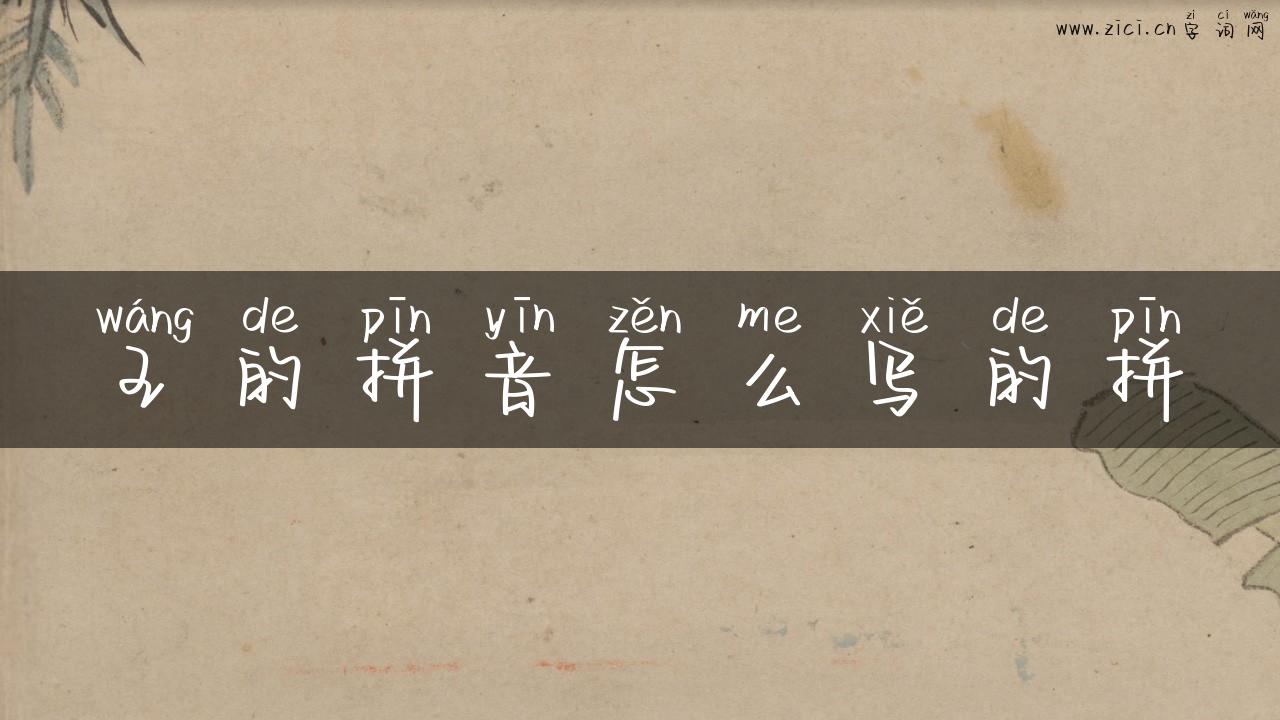 王的拼音怎么写的拼