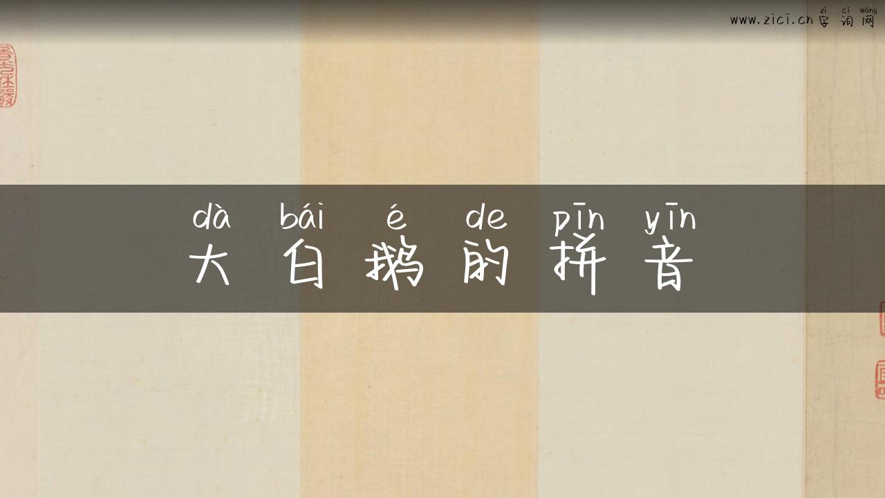 大白鹅的拼音