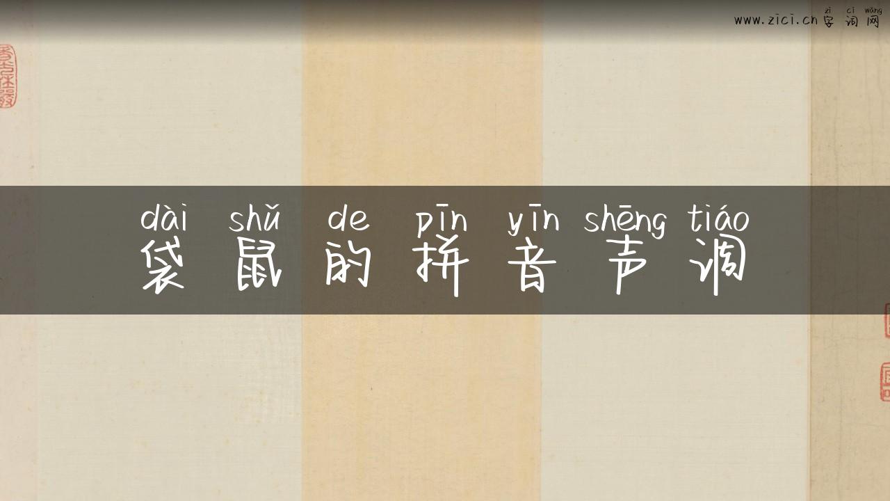 袋鼠的拼音声调
