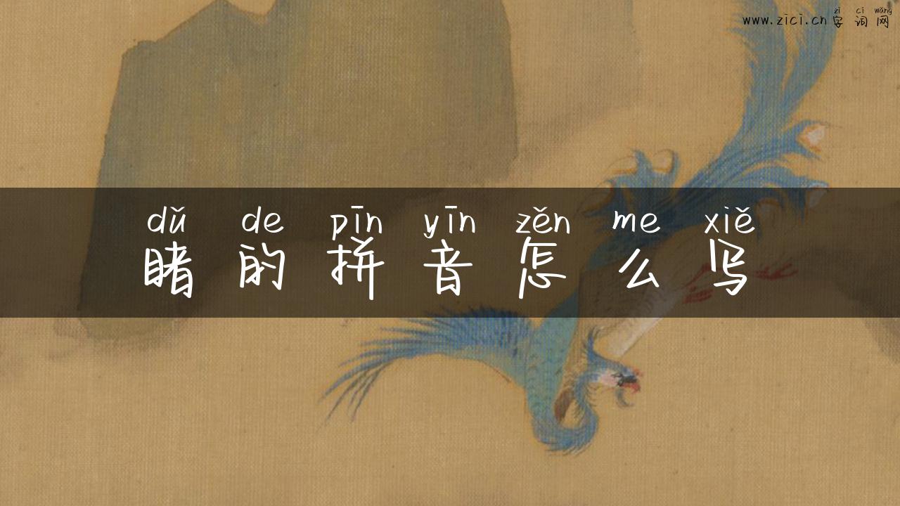 睹的拼音怎么写