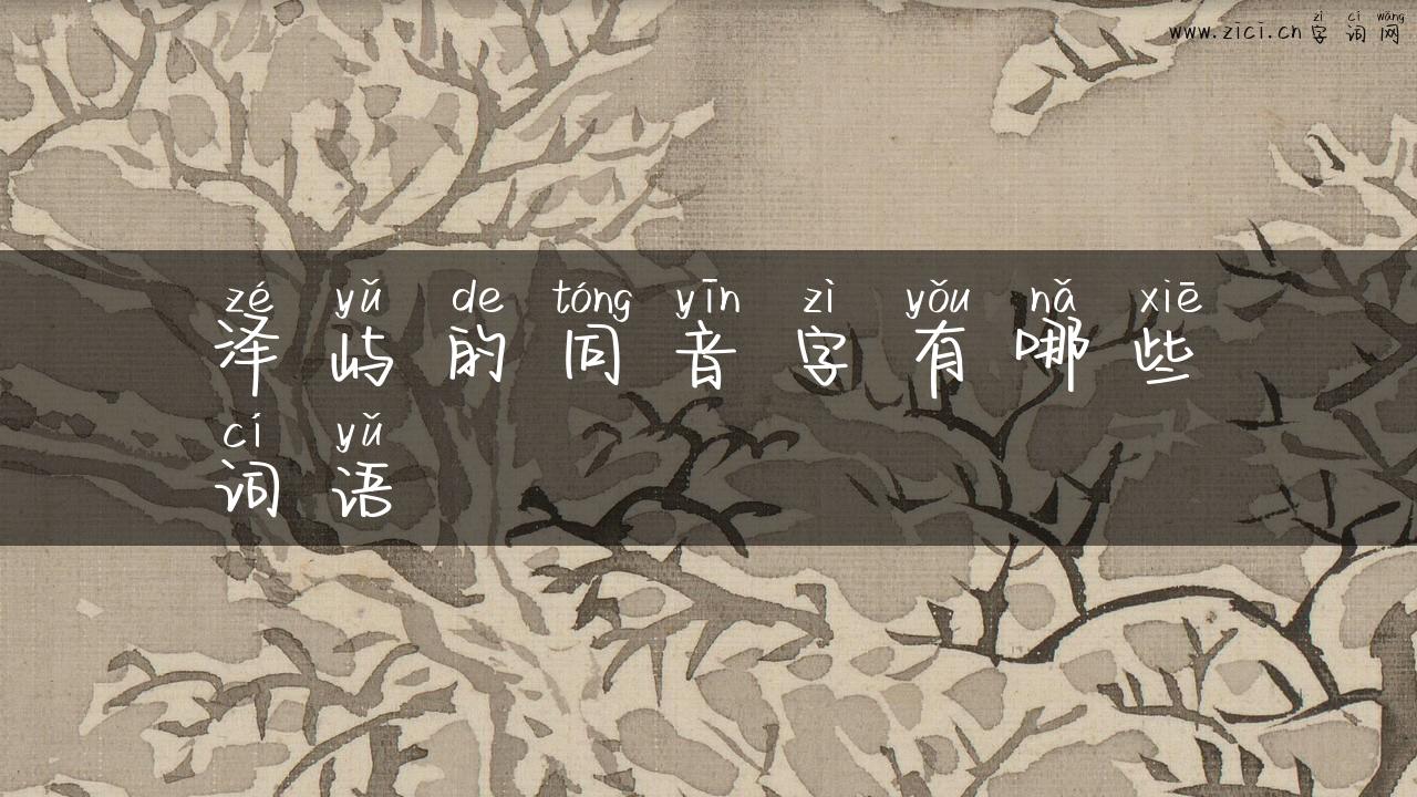 泽屿的同音字有哪些词语