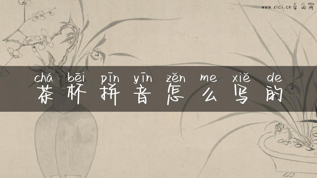 茶杯拼音怎么写的